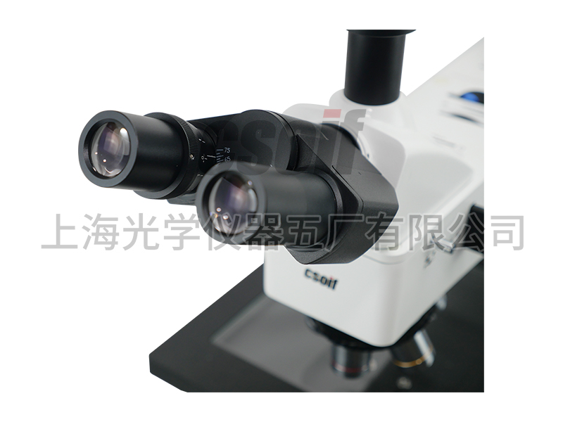 53XC-302/302BD正置金相显微镜