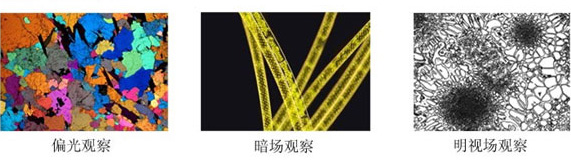 4XC20BD明暗场金相显微镜